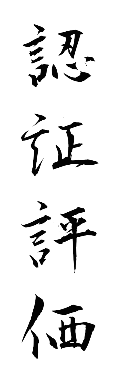 n2/n20170認証評価ninshohyoka