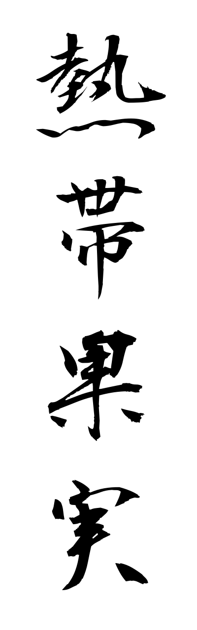 n4/n40022熱帯果実nettaikajitsu