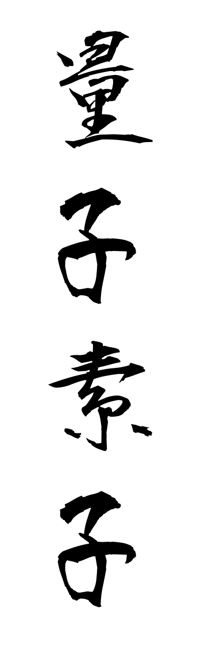 r2/r20148量子素子ryoushisoshi