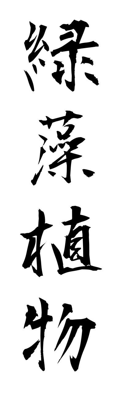 r2/r20181緑藻植物ryokusoushokubutsu