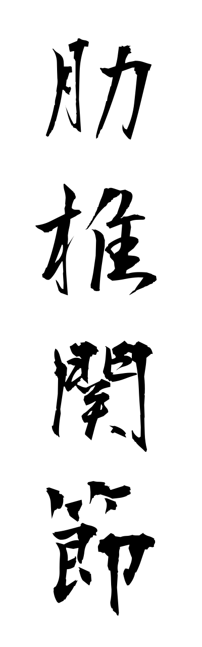 r5/r50058肋椎関節rokutsuikannsetsu