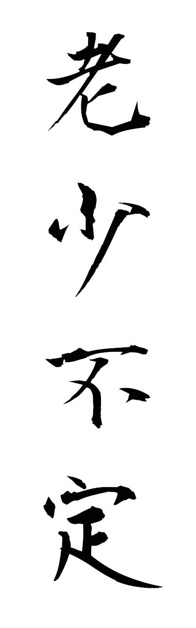 r5/r50099老少不定roshofujo