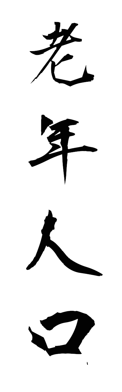 r5/r50107老年人口ronenjinko