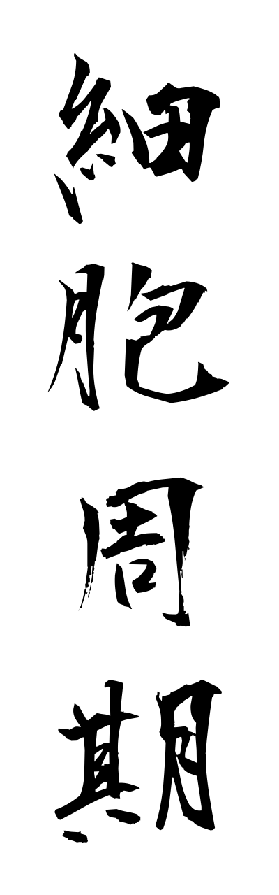 s1/s10093細胞周期saiboushuuki