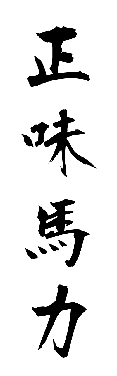 s2/s21009正味馬力shoumibariki
