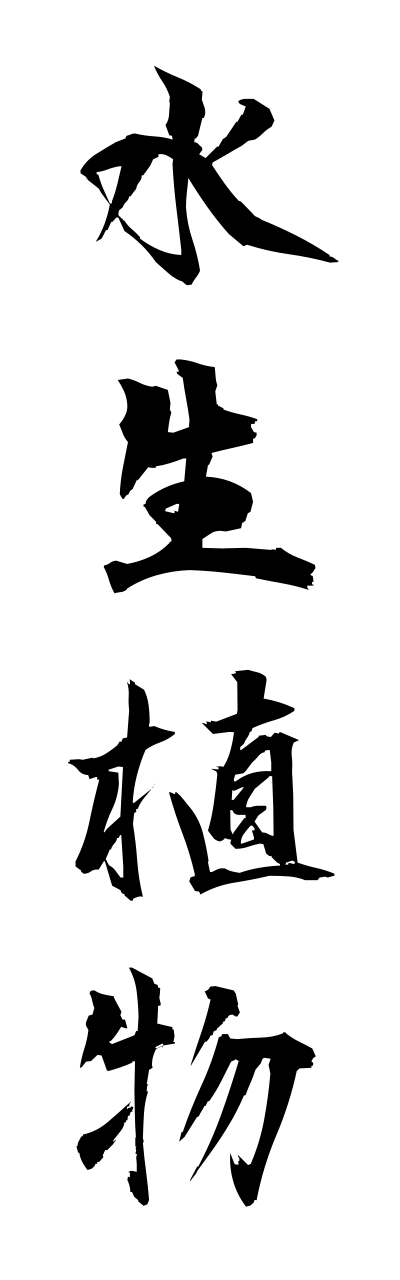 s3/s30043水生植物suiseishokubutsu