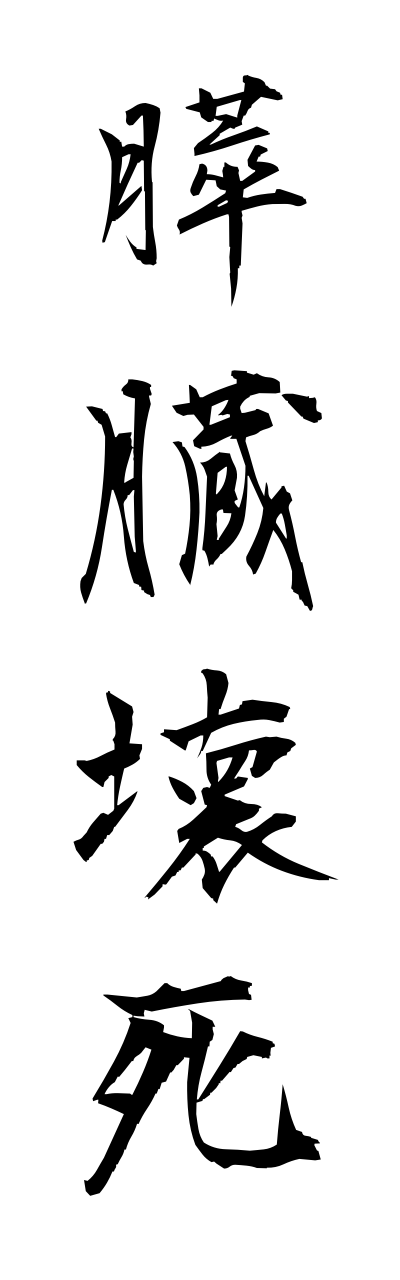 s3/s30049膵臓壊死suizoueshi