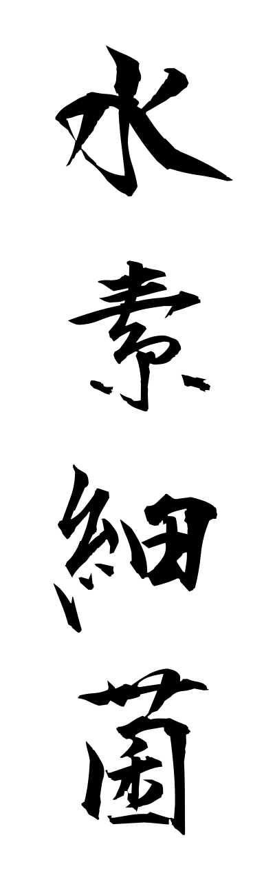 s3/s30058水素細菌suisosaikinn