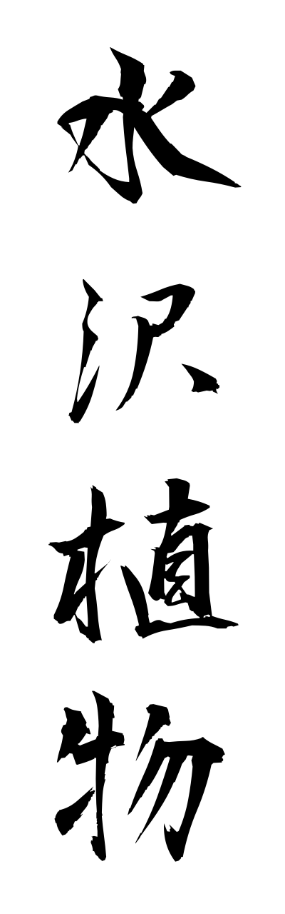 s3/s30065水沢植物suitakushokubutsu