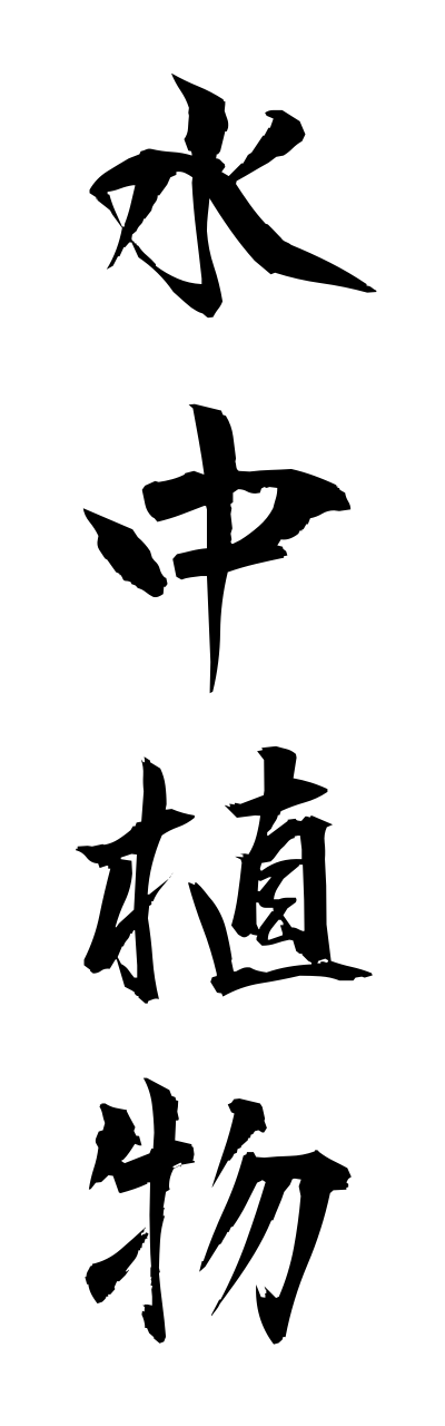 s3/s30066水中植物suichuushokubutsu