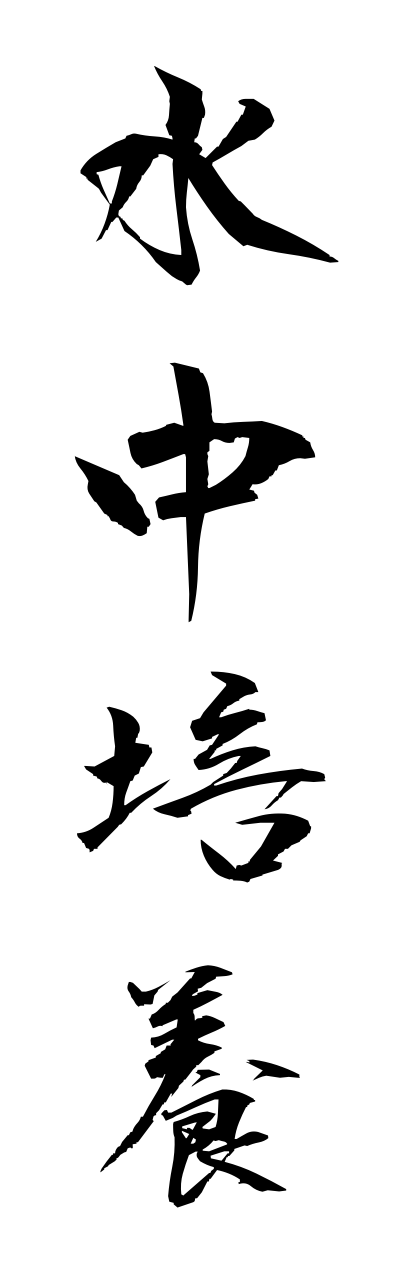 s3/s30067水中培養suichuubaiyou