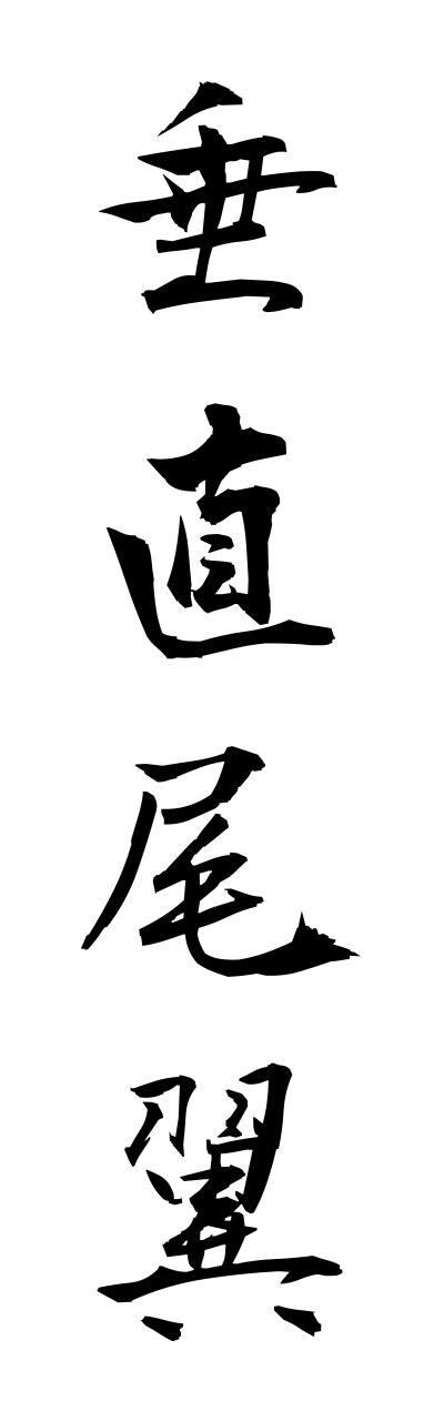 s3/s30076垂直尾翼suichokubiyoku