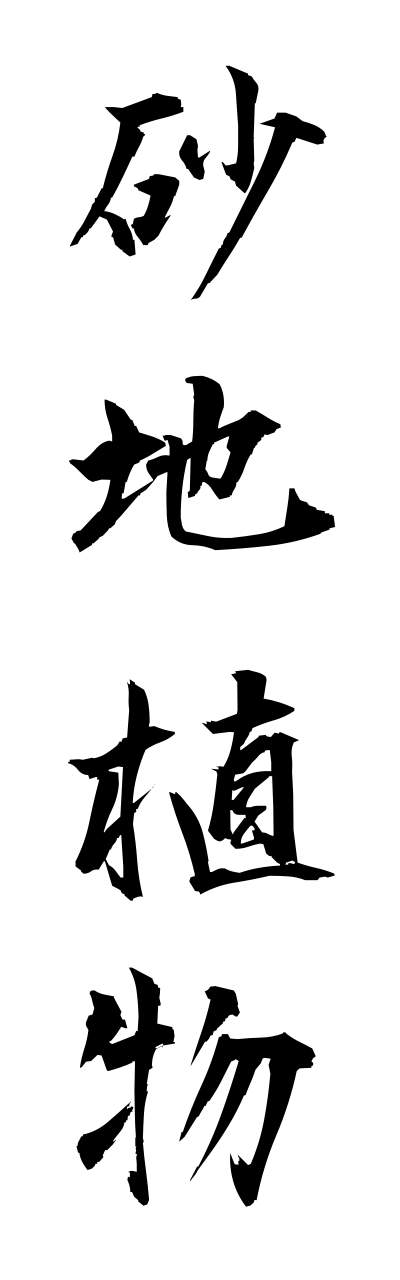 s3/s30133砂地植物sunachishokubutsu