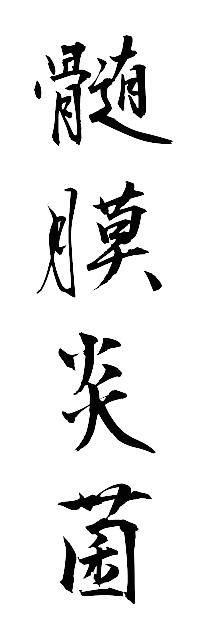 s3/s30155髄膜炎菌zuimakuenkin