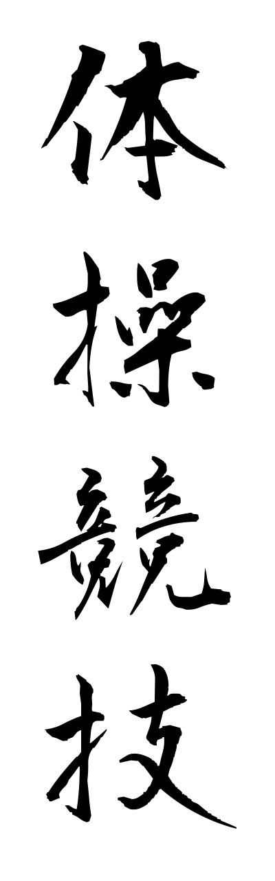 t1/t10137体操競技taisoukyougi