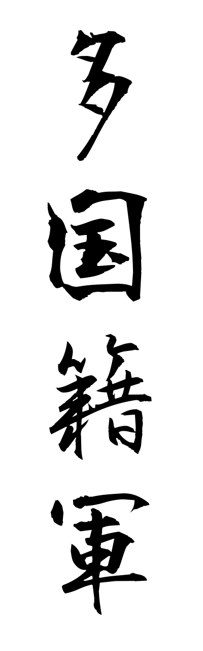 t1/t10248多国籍軍takokusekigunn