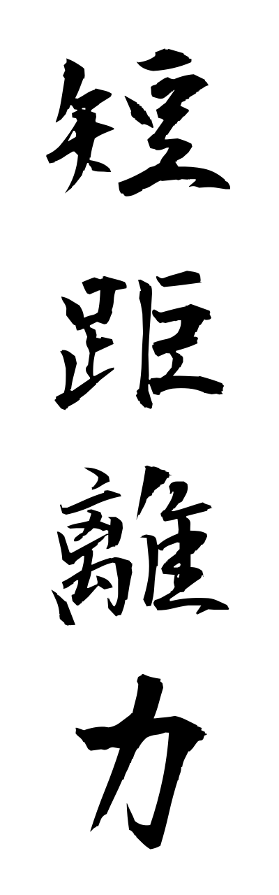 t1/t10367短距離力tannkyoriryoku