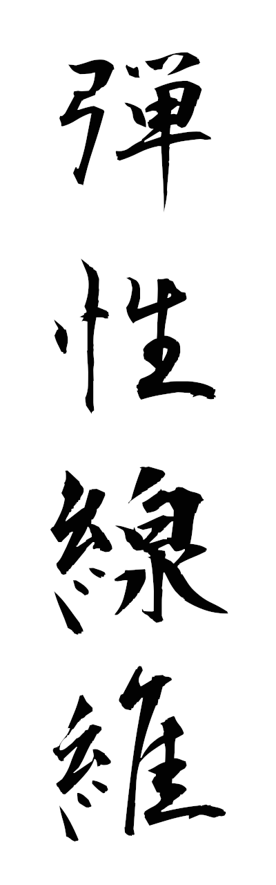 t1/t10571弾性線維danseiseni