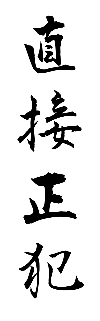 t2/t20448直接正犯chokusetsuseihann