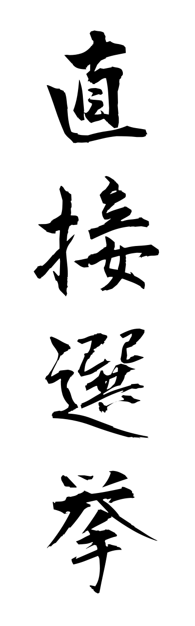 t2/t20449直接選挙chokusetsusennkyo