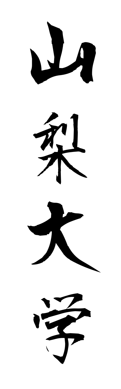 y1/y10136山梨大学yamanashidaigaku