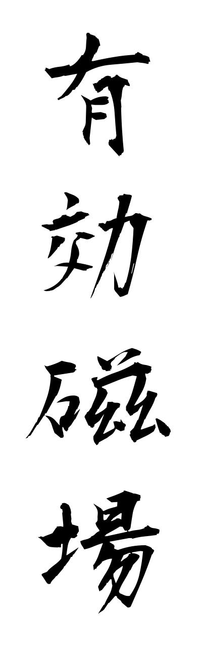 y3/y30066有効磁場yuukoujiba