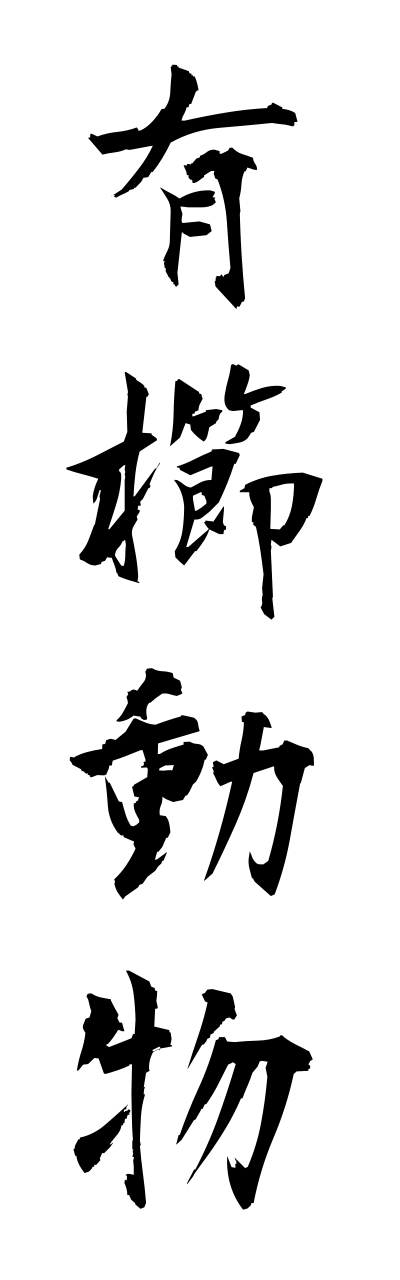 y3/y30077有櫛動物yuushitsudoubutsu