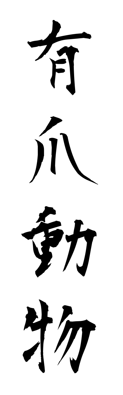 y3/y30113有爪動物yuusoudoubutsu