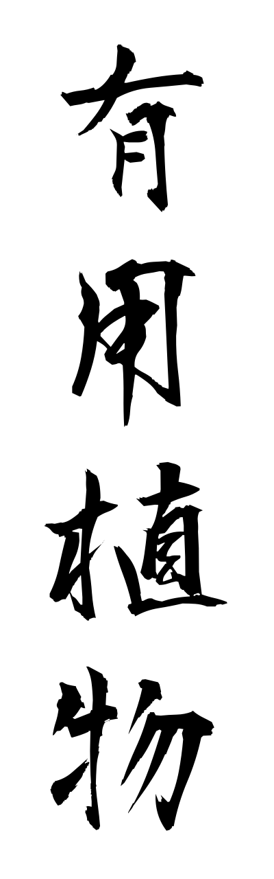 y3/y30153有用植物yuuyoushokubutsu