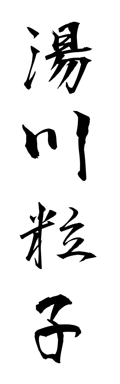 y3/y30171湯川粒子yukawaryuushi