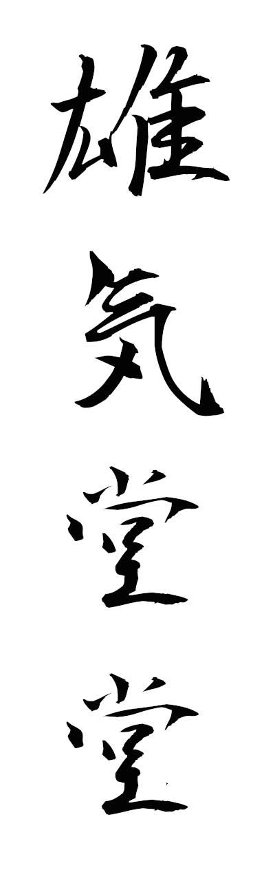 y3/y30230雄気堂堂yukidodo
