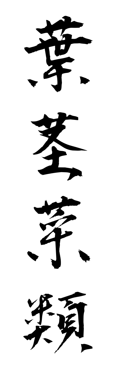 y5/y50018葉茎菜類yoyushakushaku
