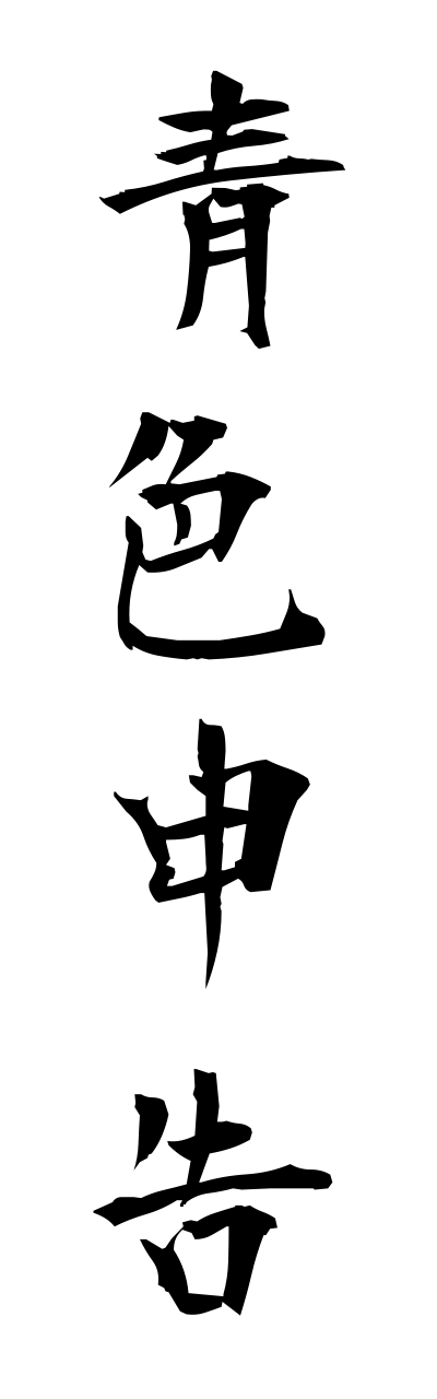 a1/a10048青色申告aoiroshinnkoku