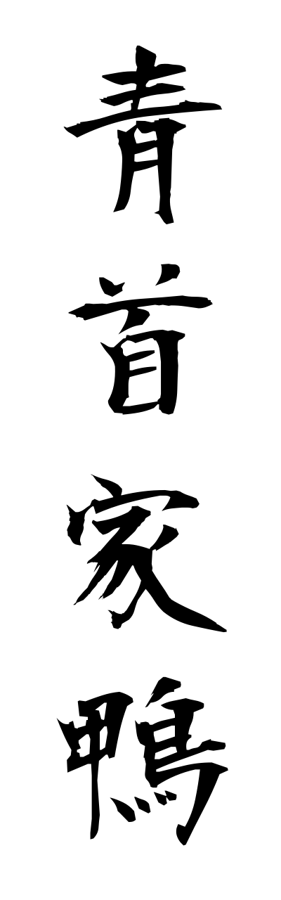 a1/a10050青首家鴨aokubiahiru