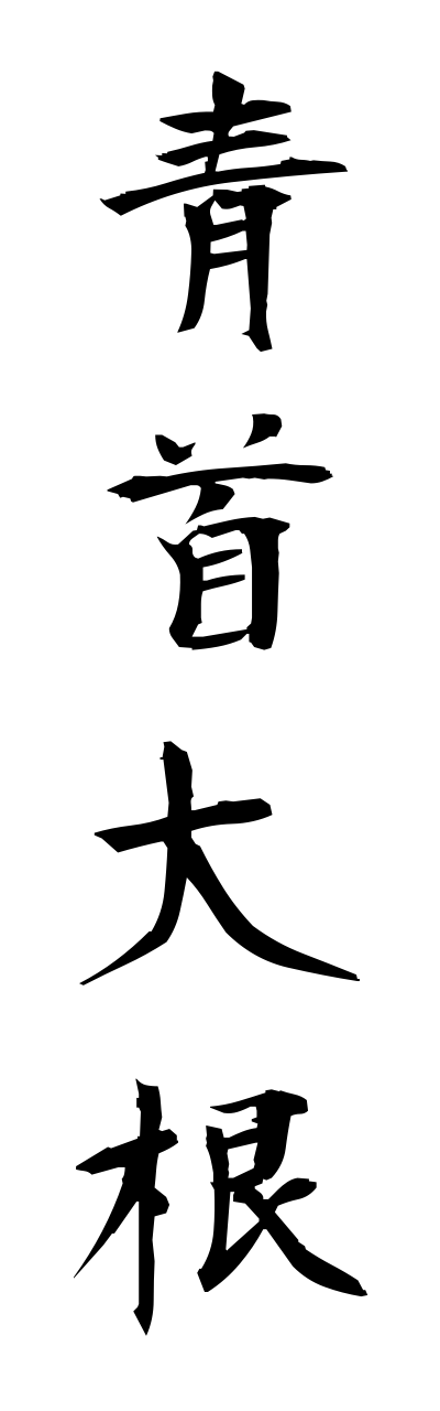 a1/a10051青首大根aokubidaikonn