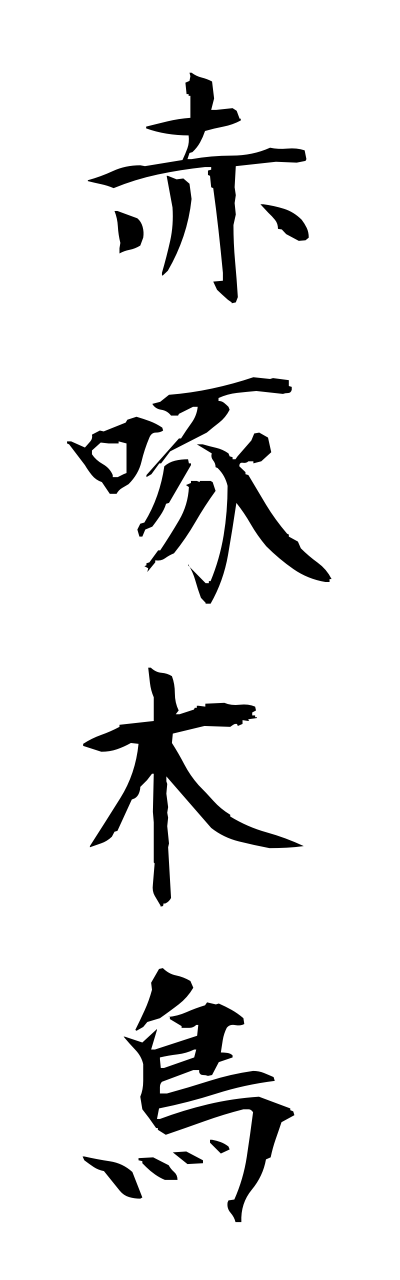 a1/a10079赤啄木鳥akagera