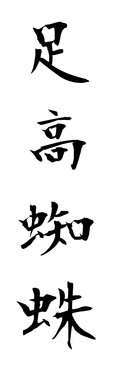 a1/a10175足高蜘蛛ashidakagumo