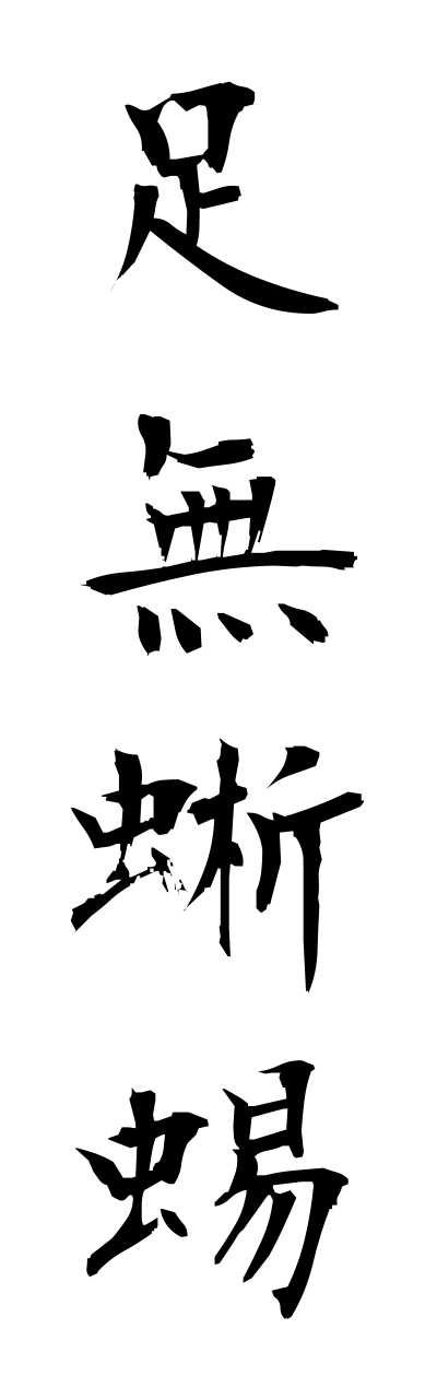 a1/a10180足無蜥蜴ashinashitokage