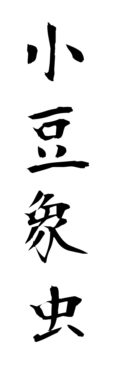 a1/a10193小豆象虫azukizoumushi