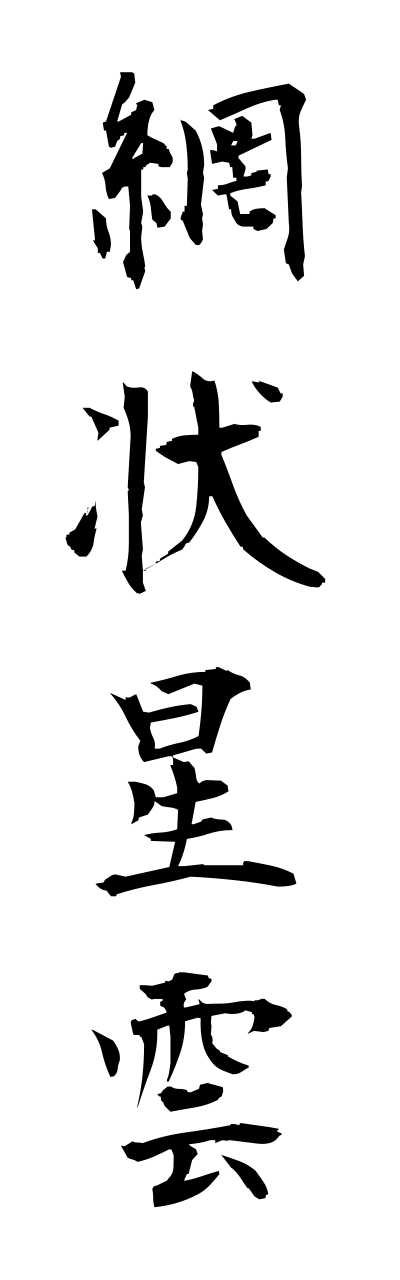 a1/a10264網状星雲amijouseiunn