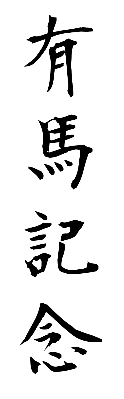 a1/a10289有馬記念arimakinenn