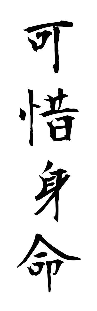 a1/a10388可惜身命atarashimmyo