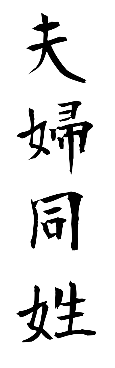 h3/h30026夫婦同姓fuufudousei
