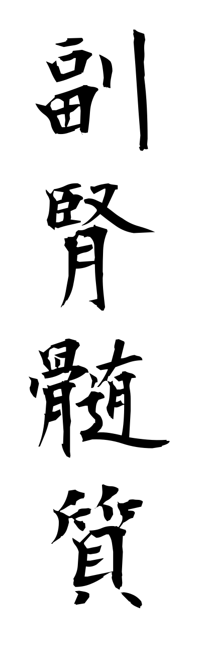 h3/h30105副腎髄質fukujinnzuishitsu