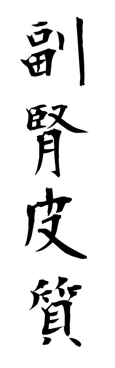 h3/h30106副腎皮質fukujinnhishitsu