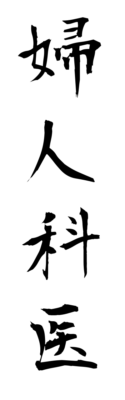 h3/h30166婦人科医fujinnkai