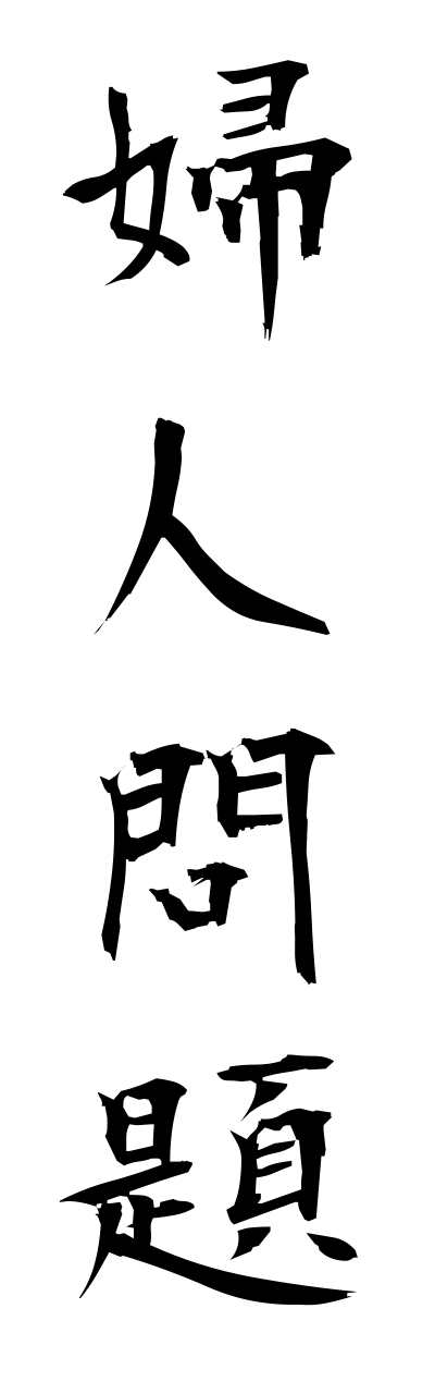 h3/h30169婦人問題fujinnmonndai