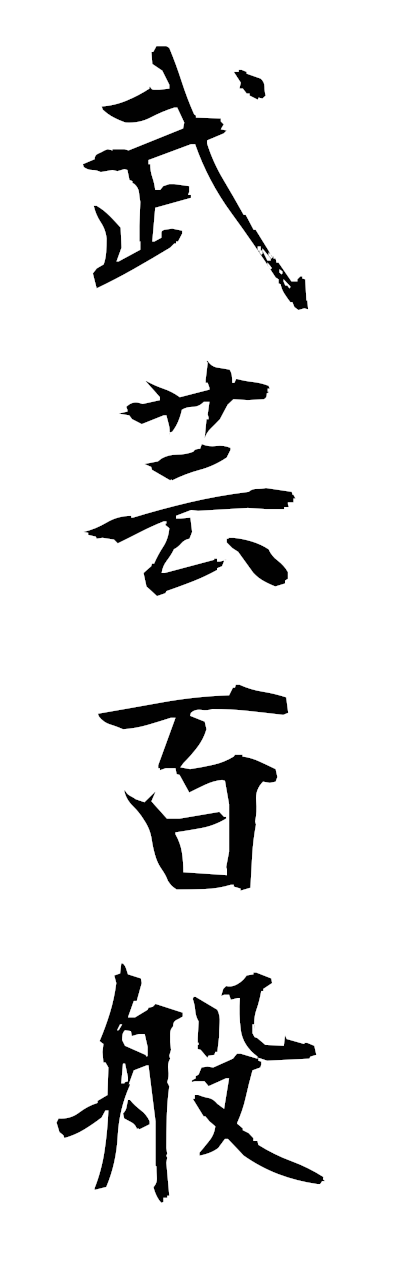 h3/h30379武芸百般bugeihyappan