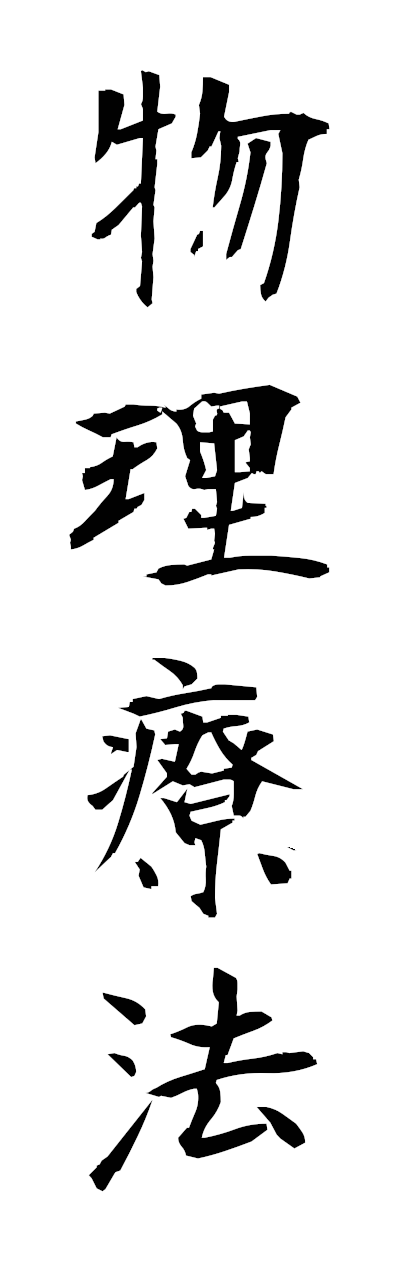 h3/h30446物理療法butsuriryoho