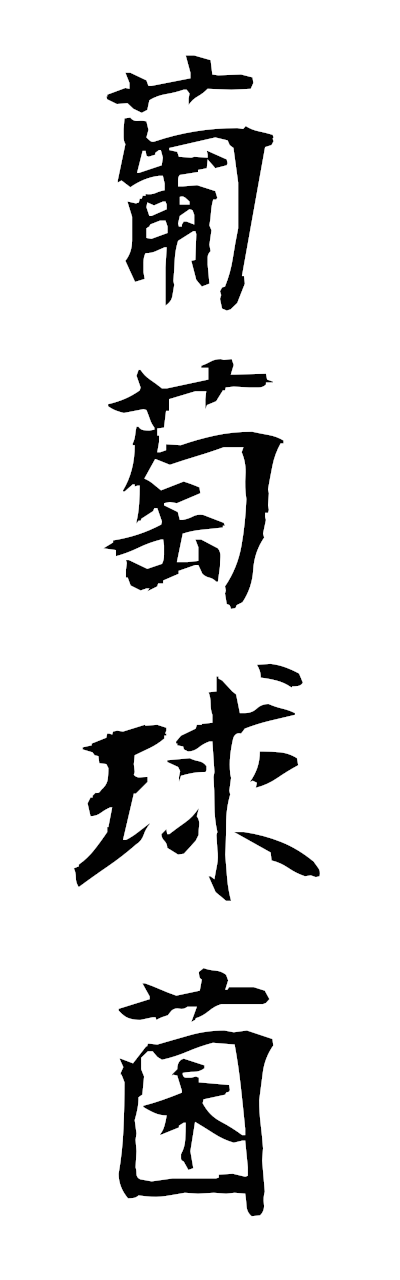 h3/h30455葡萄球菌budokyukin